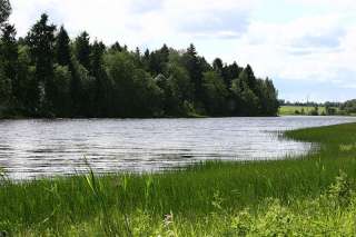 Участок рядом с платиной