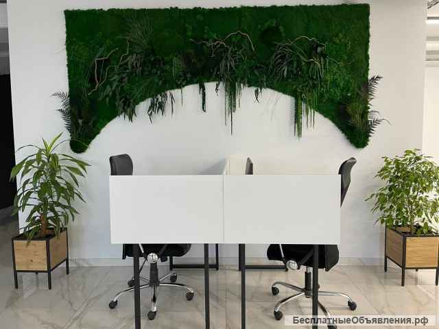 Автовыгрузка товаров на маркетплейсы