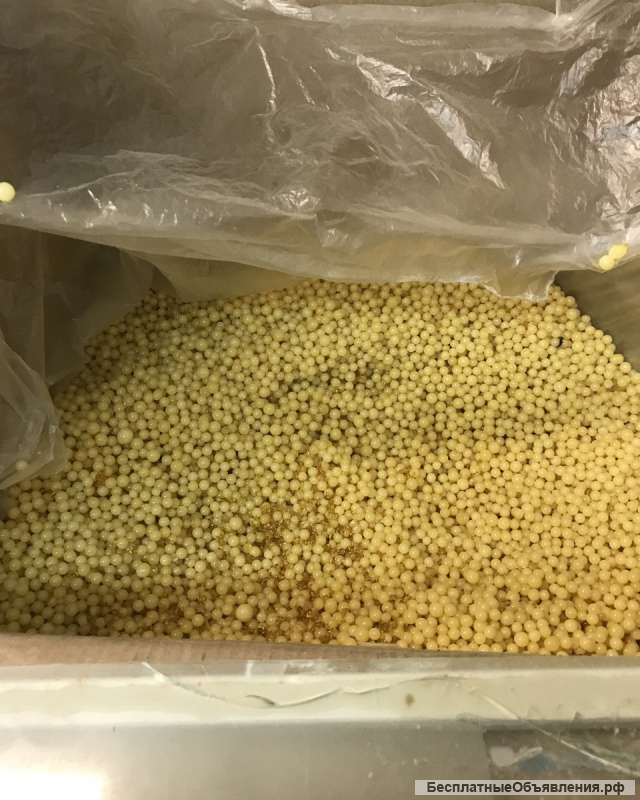 Барсучий жир в капсулах