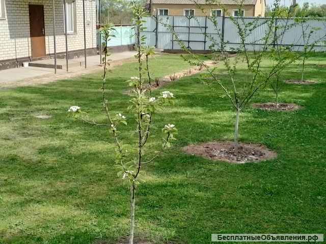 Дом 106 кв м со всем имуществом