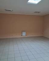 Помещение в поселке Новопушкинское