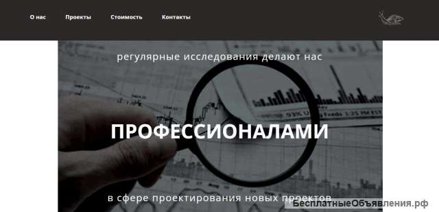 Заказать, купить сайт, разработка сайта