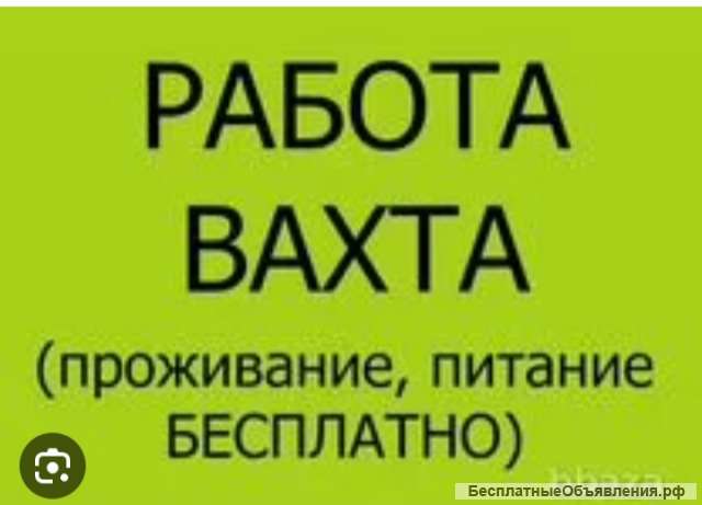 Работа вахта московская область