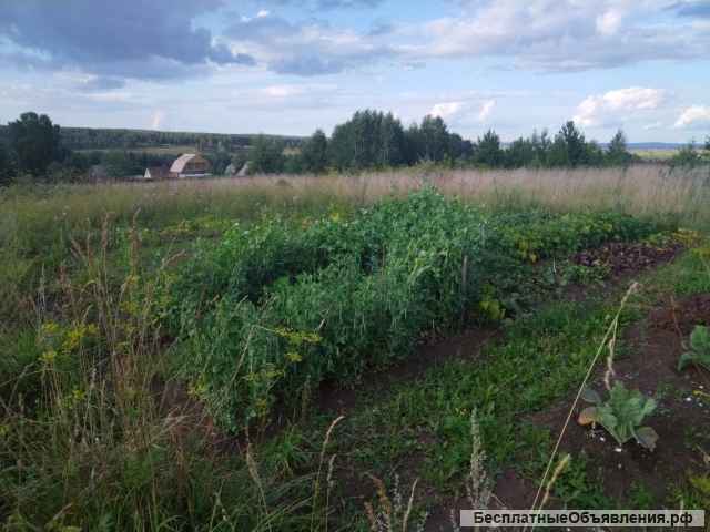 Земельный участок. СНТ Ветеран-1