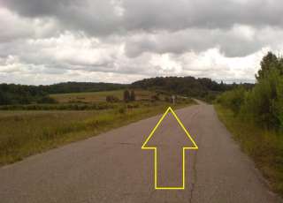 Брынчаги. Участок 15 соток. ИЖС. Эл-во. Забор. Лес. Река. Пруд. Дорога.