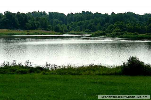 Проведи отпуск или свадьбу на природе в Ваньково