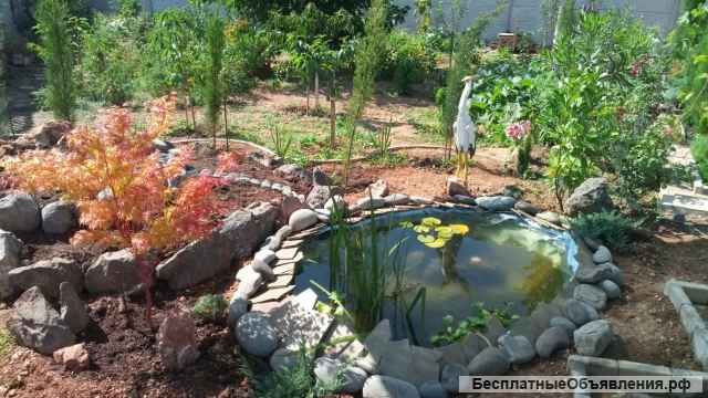 Создание декоративных прудов