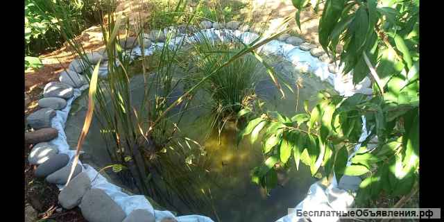 Создание декоративных прудов