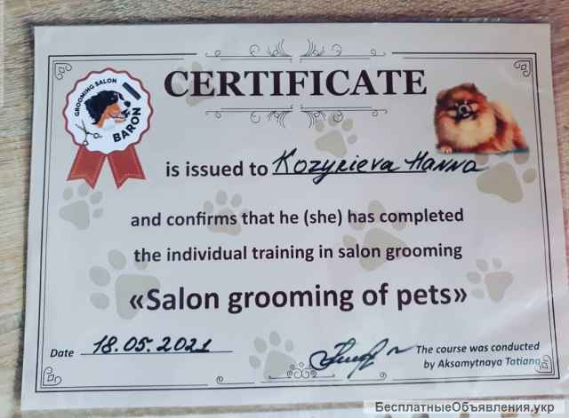 Стрижка котов на с выездом на дом