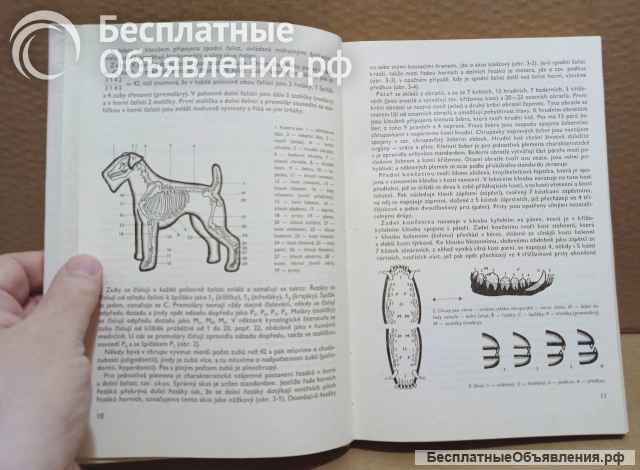 Atlas plemen psu (Атлас пород собак) 1973 г