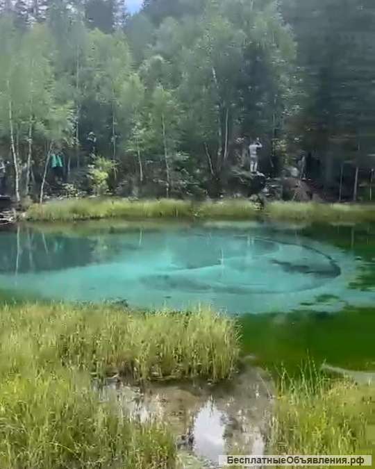 Тур выходного дня на Алтай