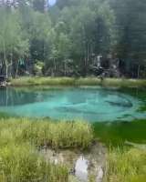 Тур выходного дня на Алтай