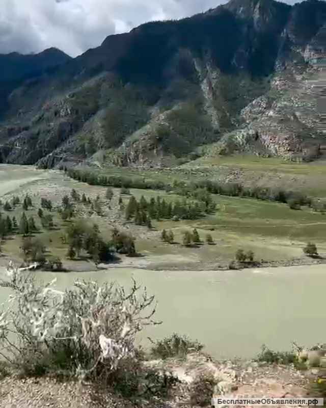 Тур выходного дня на Алтай