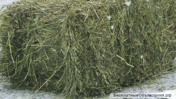 Луговое сено разнотравье