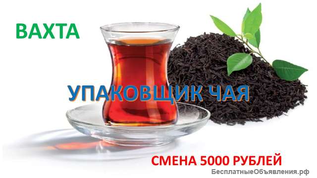 Упаковщики чая в Москве с бесплатным проживанием