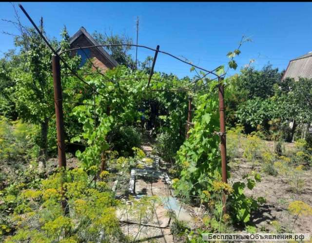 Дача Тиритаки