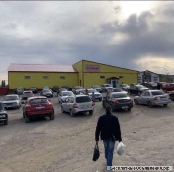 Магазин с арендатором "Светофор"