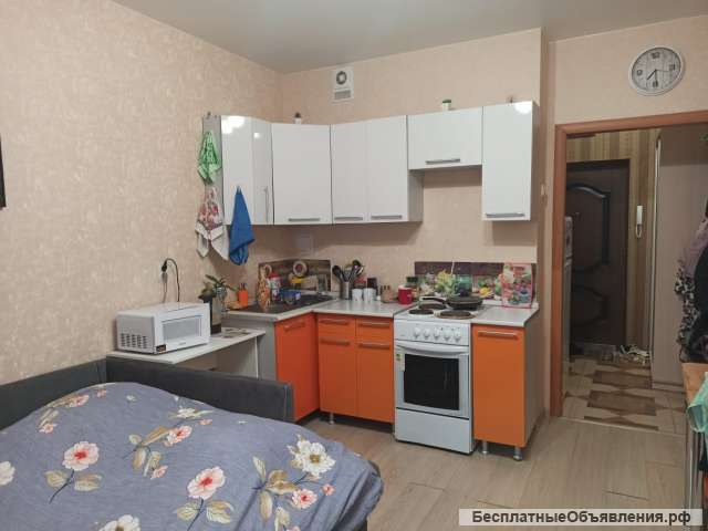 Студия 23 м2 Перспектива