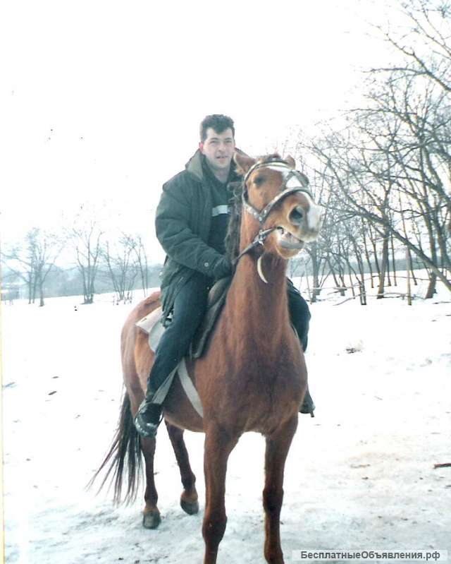 Папоротник