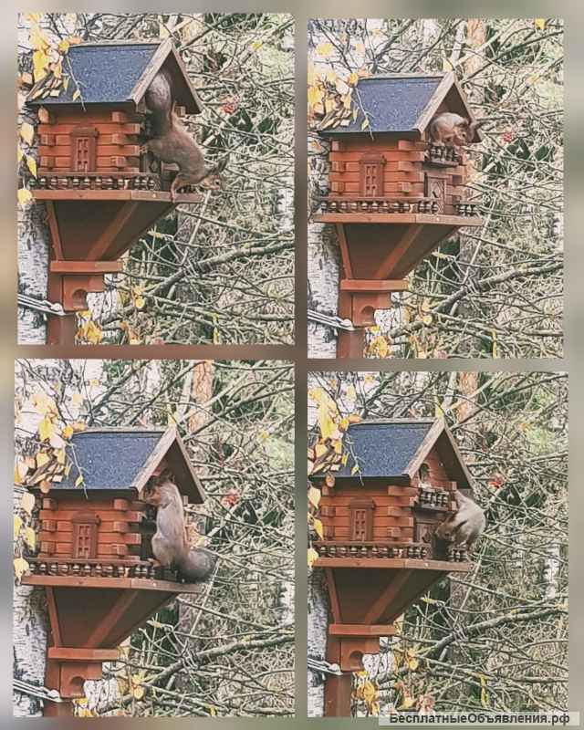 Скворечник для птиц