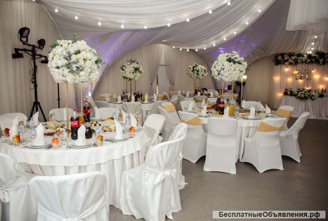 Шатер и парк для проведения праздников, образовательных и деловых мероприятий