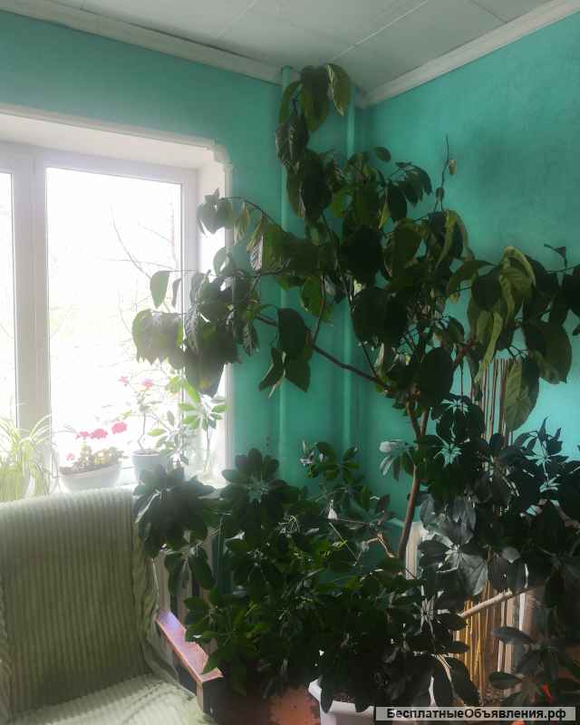 Квартира в зеленой зоне Магадана