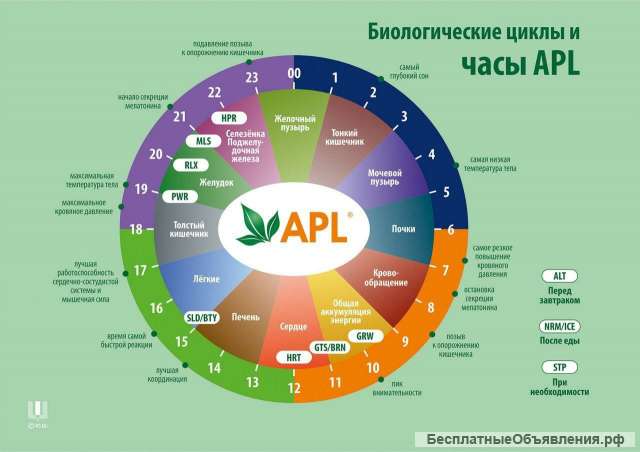 Восстановление здоровья и лечение