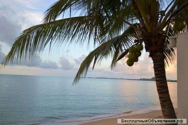 Тайланд в январе