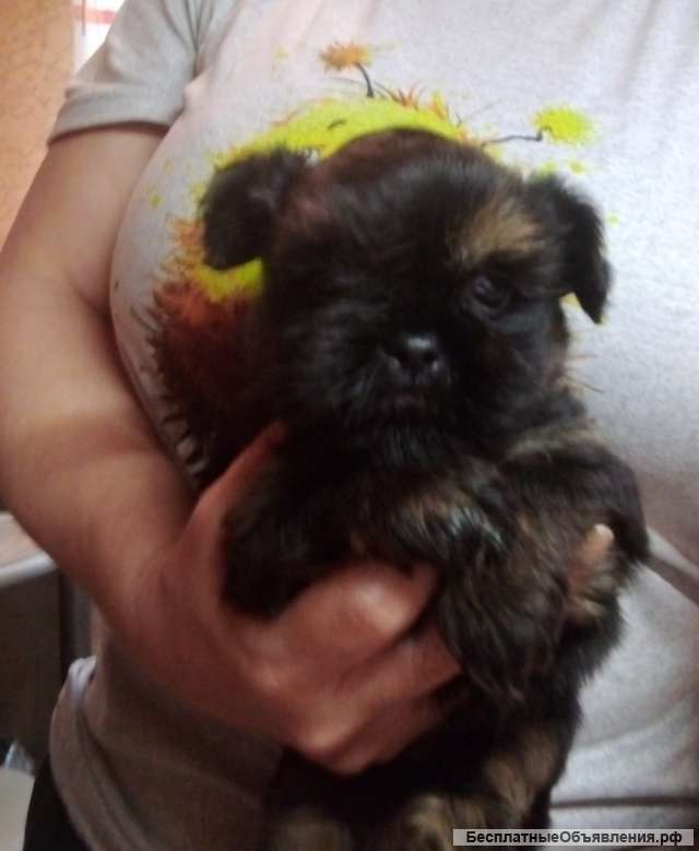 Малыш мальчик, доставка по Москве