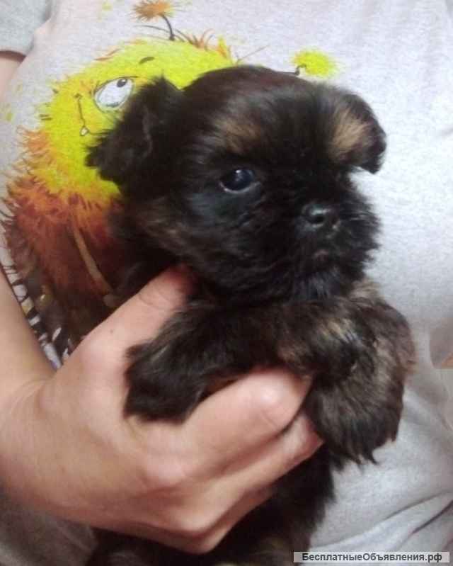 Малыш мальчик, доставка по Москве