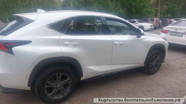 Lexus NX 300, 2020 г.в, 41 500 $