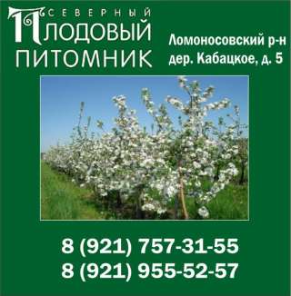 "Северный Плодовый Питомник": саженцы плодовых деревьев и кустарников в Ломоносовском районе