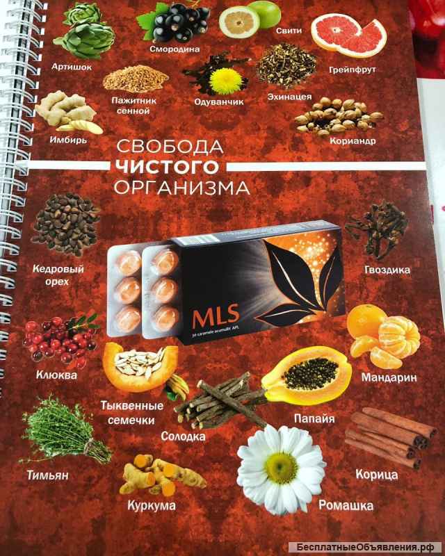 APL MARKETING REJASI - cheksiz daromad potentsiali