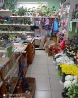 Бизнес: Магазин цветов и подарков