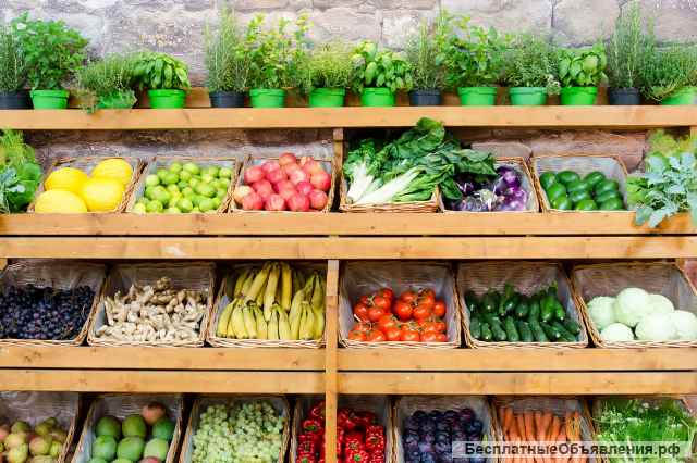 Бизнес: Магазин фрукты-овощи
