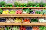 Бизнес: Магазин фрукты-овощи