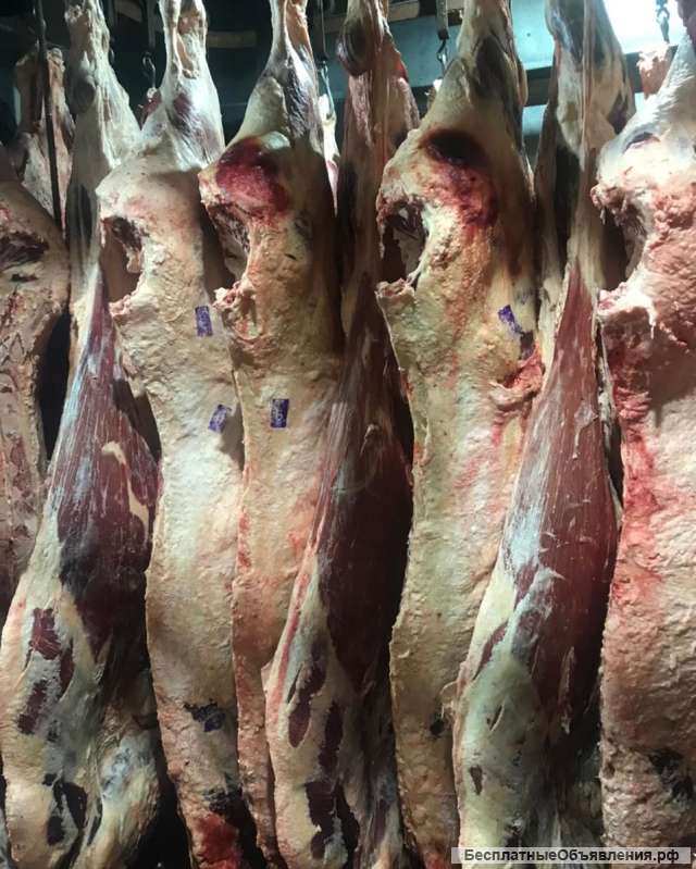 Мясо говядину в ассортименте