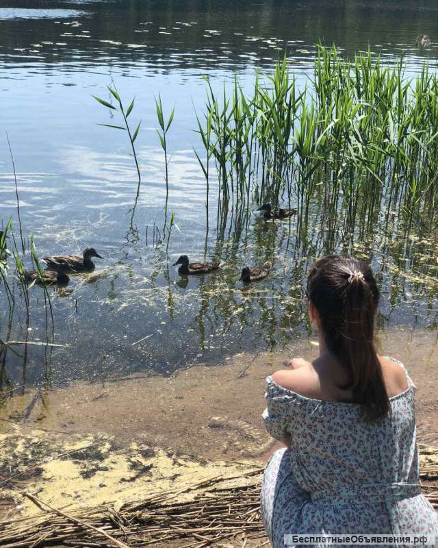 Дом в аренду по суткам и долго