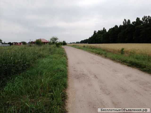 Зем. участок 10 соток ст. Старокорсунская, ул. Придорожная.