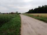 Зем. участок 10 соток ст. Старокорсунская, ул. Придорожная.