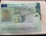 Оформление виз Шенген и США