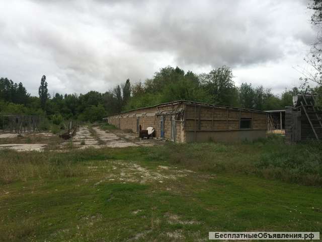 Ферма для выращивания сельскохозяйственных животных