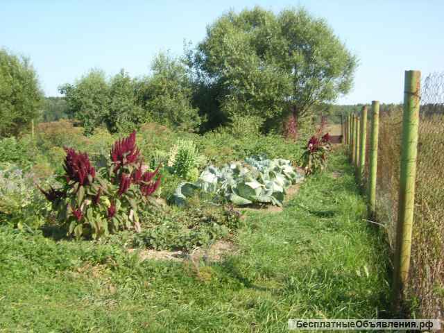 Половина дома в деревне