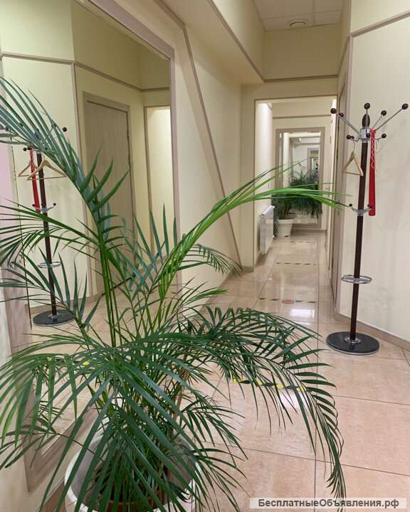 LPG массаж, RF лифтинг, УЗ кавитация