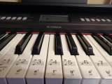 Цифровое пианино Yamaha Piaggero NP-V80