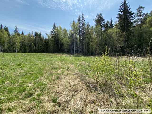 Участок 24 сотки