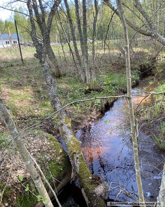 Участок 24 сотки