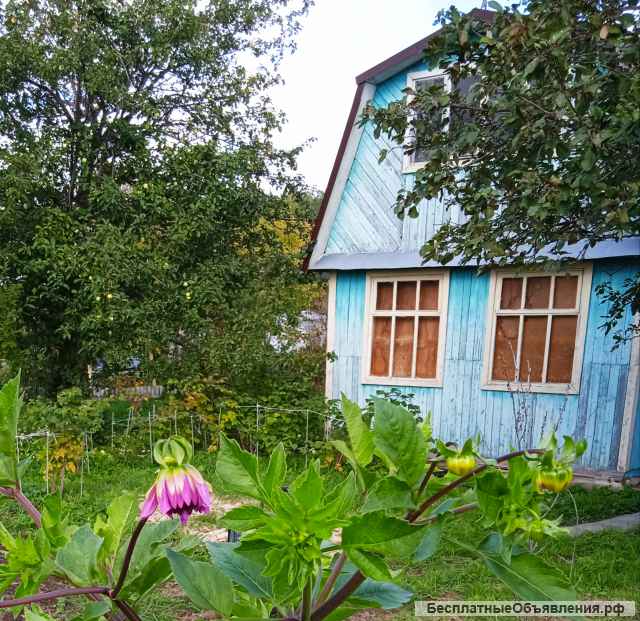 Дачу - собственник