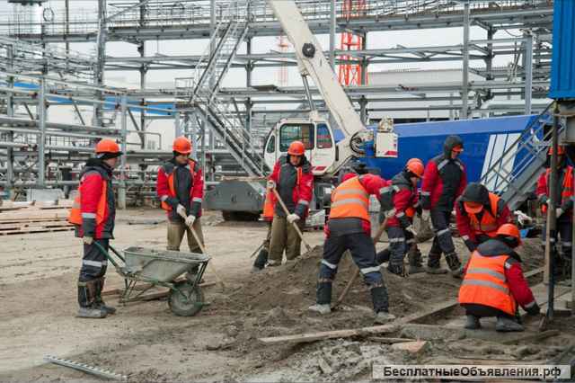 Подсобный рабочий, разнорабочий РФ