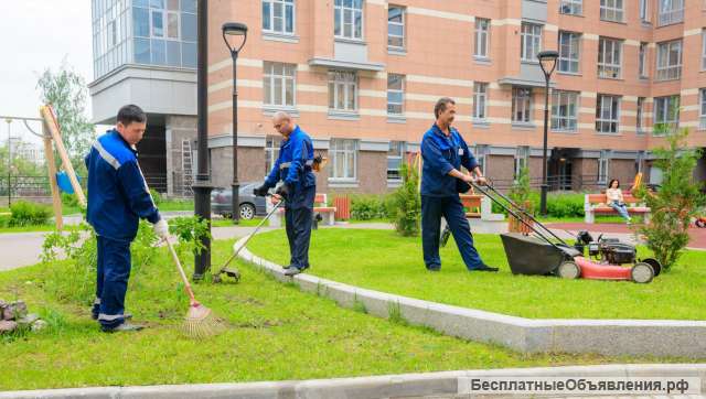 Благоустройство территории